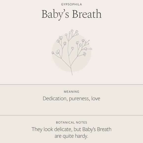 Baby's Breath Floral Bohemian Cute Charm Necklace - Picture 6 of 16